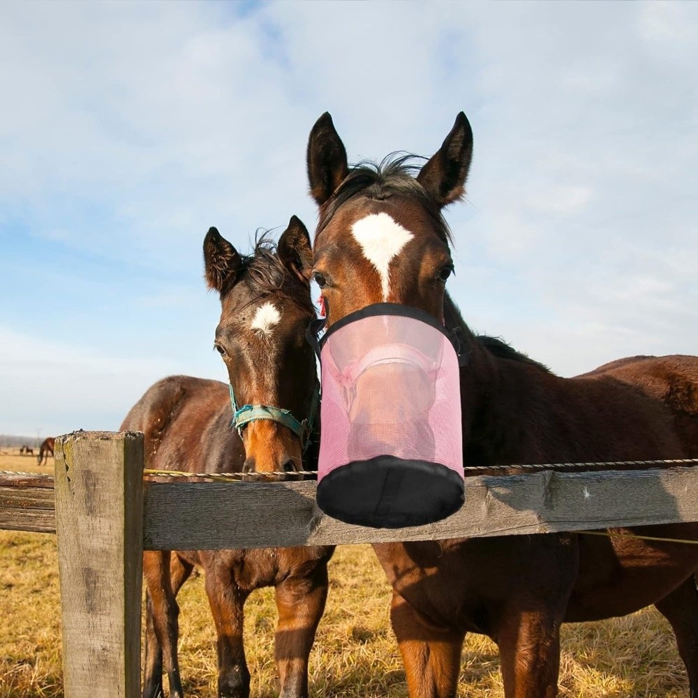 Meerkleurige lekvrije paardenv - Mesh Feeder Bag recensie en prijs