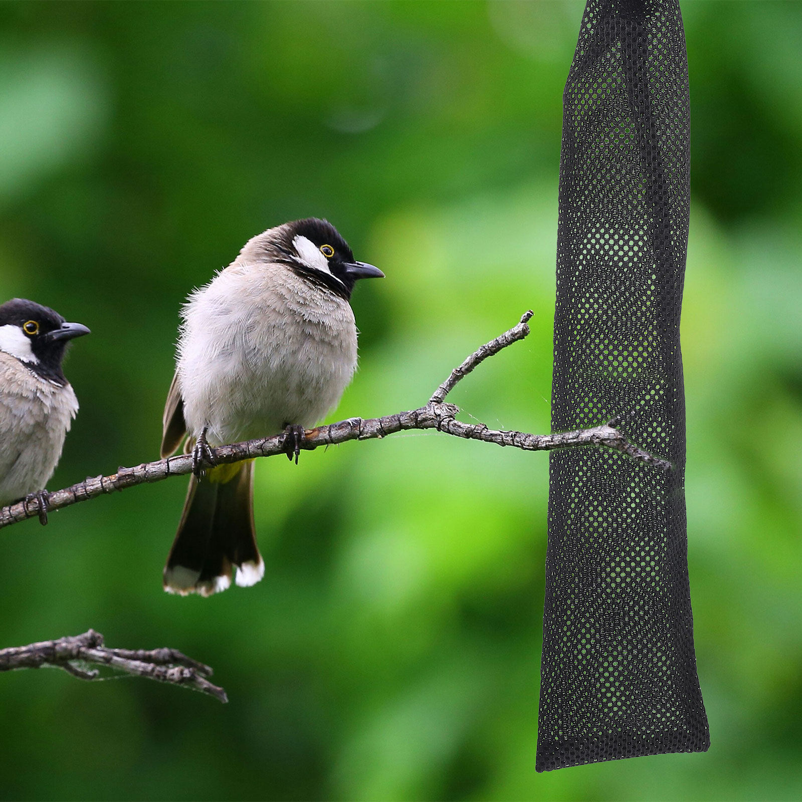 3 stuks voederzakken voor voge - Mesh Feeder Bag recensie en prijs
